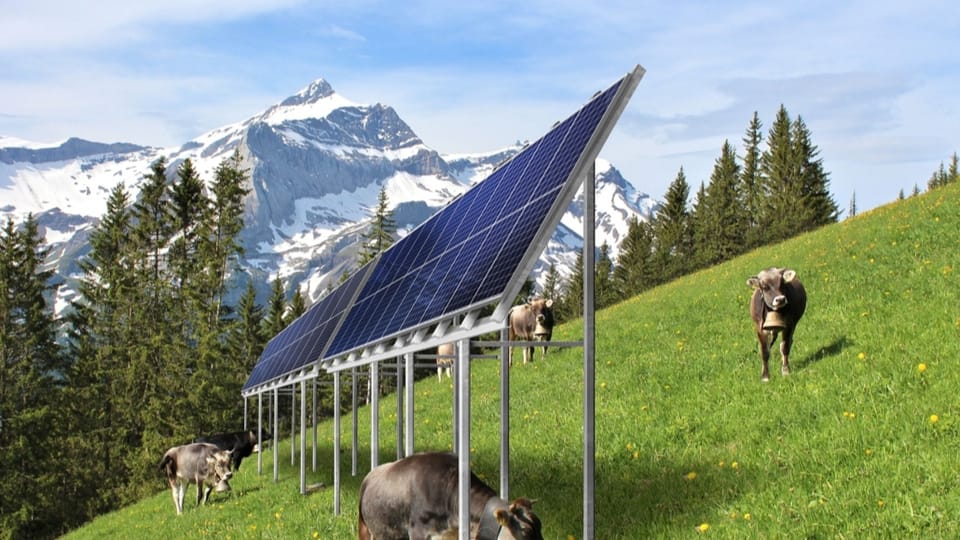 Alpine Solaranlagen: Heikles Doppelmandat in Gstaad