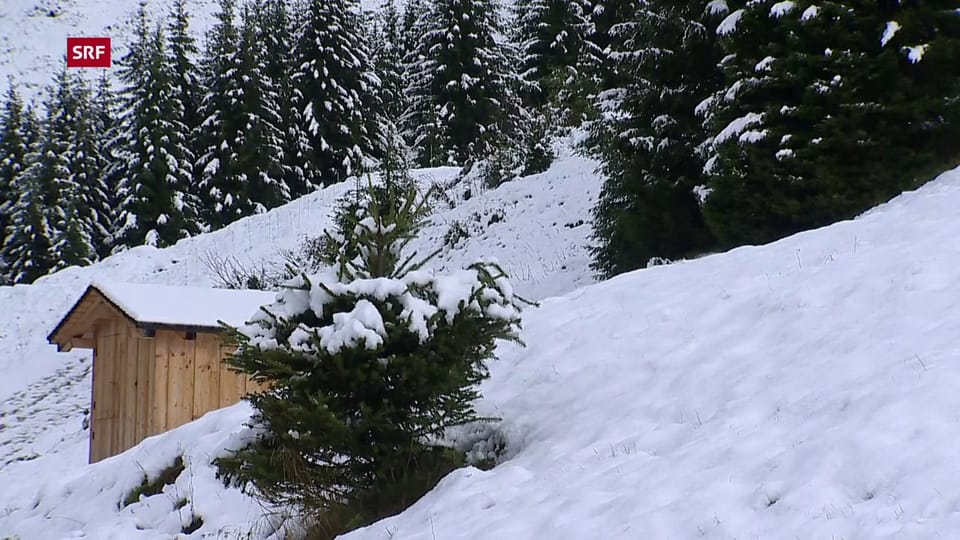 In den Bergen fiel der erste Schnee In den Bergen fiel der erste Schnee