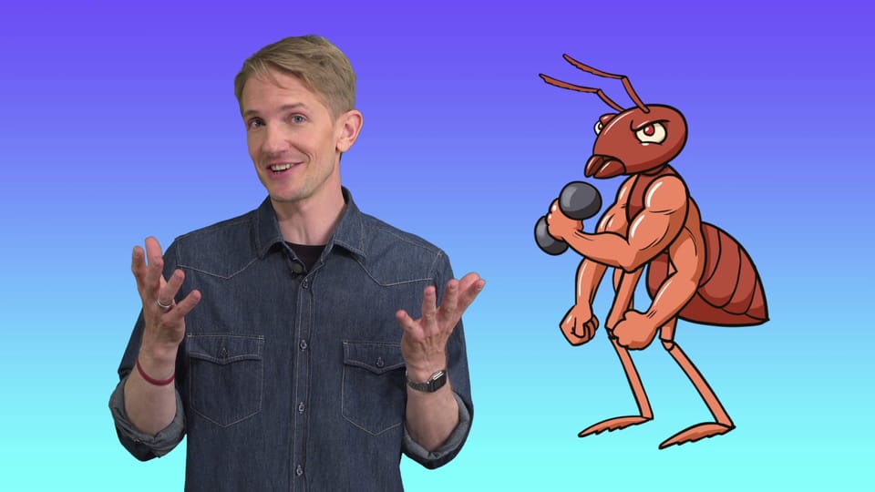Ameisen – klein aber oho