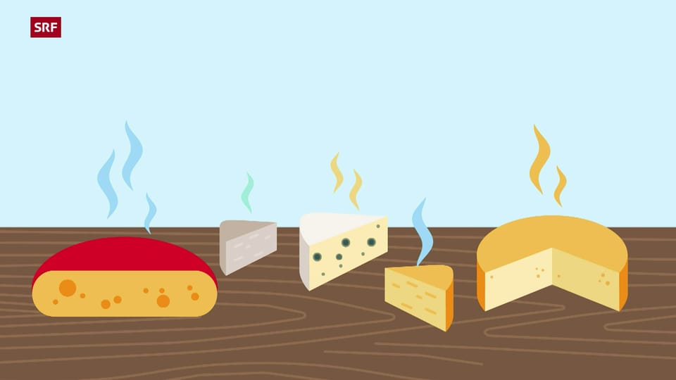 Warum Käse stinkt und woher die Löcher im Käse kommen