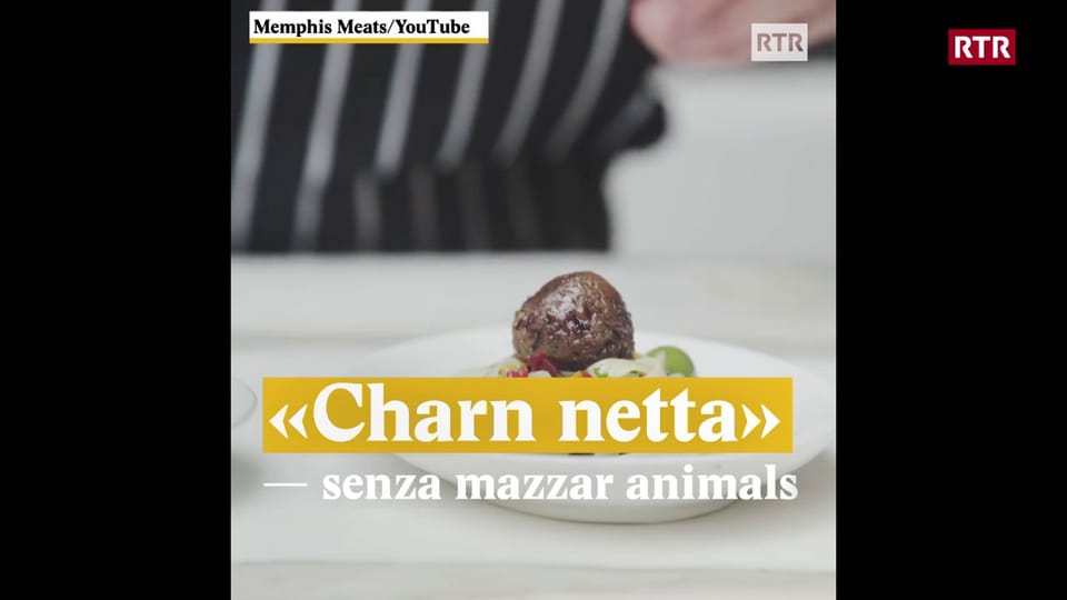Charn netta - senza mazzar animals