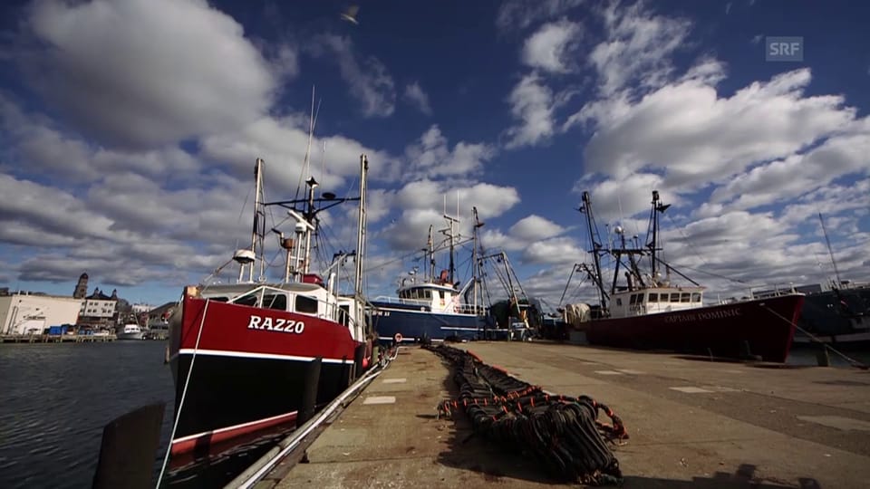 Keine Zukunft für Fischer in Maine