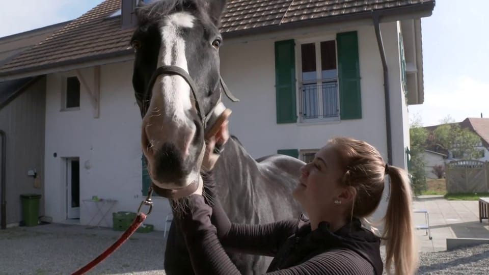 Deckung mit Pferdefuss: Versicherung kann Reiterin nicht helfen