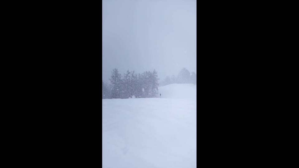 Starkschneefall ob Bürchen/VS, 10. März, Andreas Semling