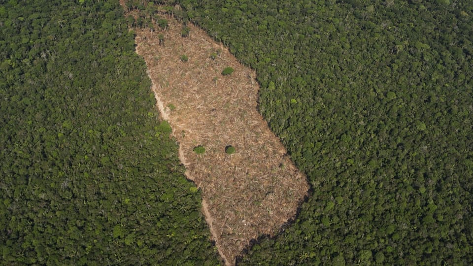 ETH Klimaforscherin schätzt die Bedeutung des Amazonasgebiets ein