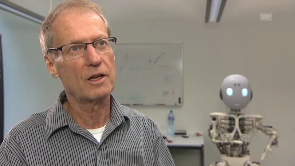 Professor Rolf Pfeifer über Industrieroboter
