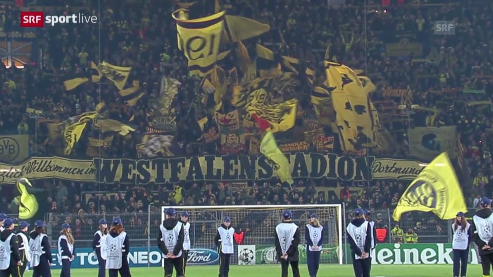 Dortmund - Napoli («sportlive»)