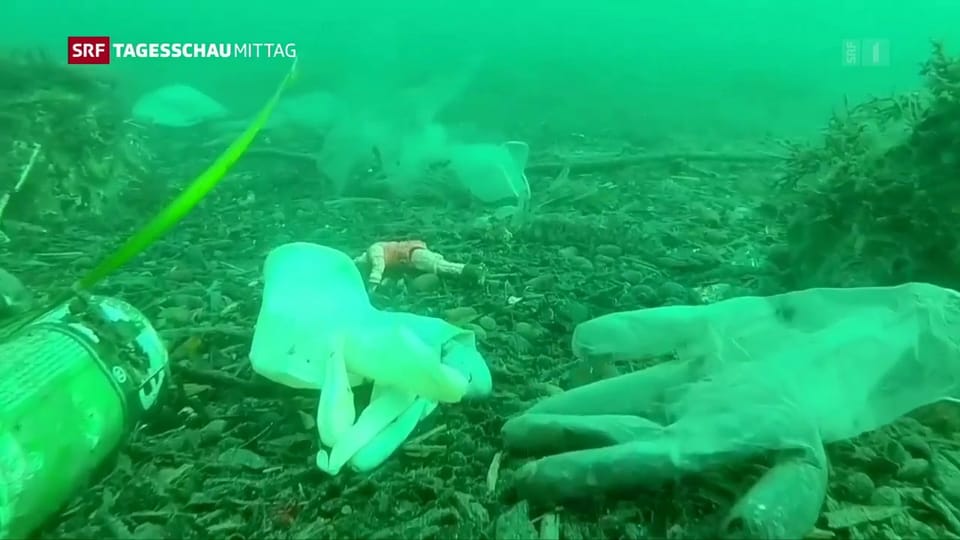 Hygienematerial verschmutzt Meere