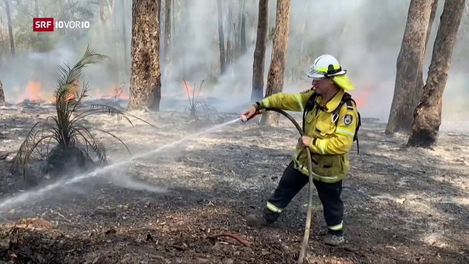 Aus dem Archiv: Verheerende Buschbrände in Australien