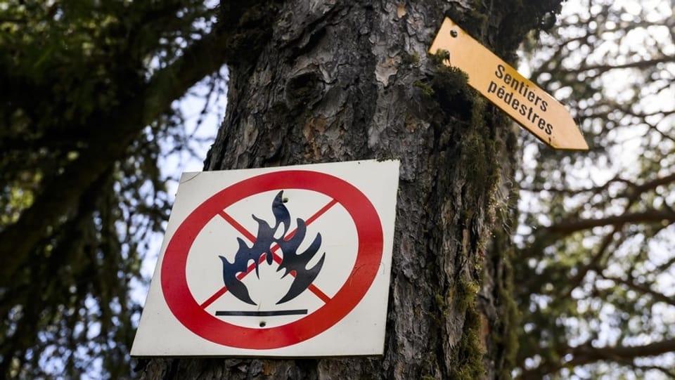 Behörden sind sich der Waldbrandgefahr kaum bewusst