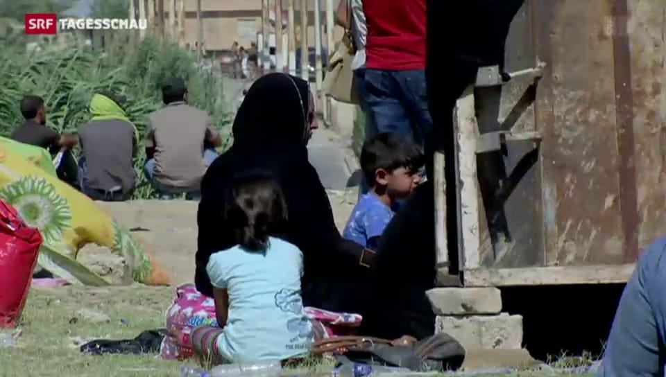 Hunderte Iraker flüchten aus Ramadi