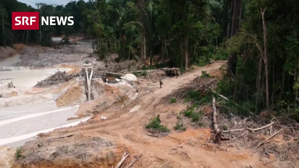 Aus dem Archiv: Abholzung im Amazonas nimmt weiter zu
