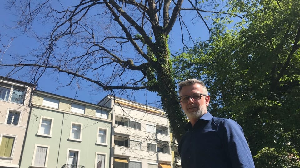 «Wir fällen die Bäume, die ein Sicherheitsrisiko darstellen», sagt Simon Leuenberger von der Stadtgärtnerei.