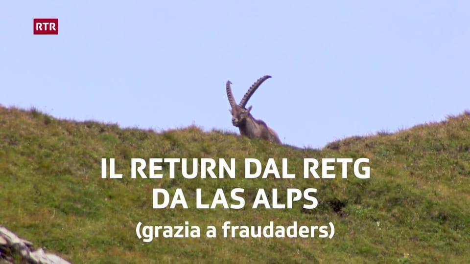 Il return dal retg da las Alps (grazia a fraudaders)
