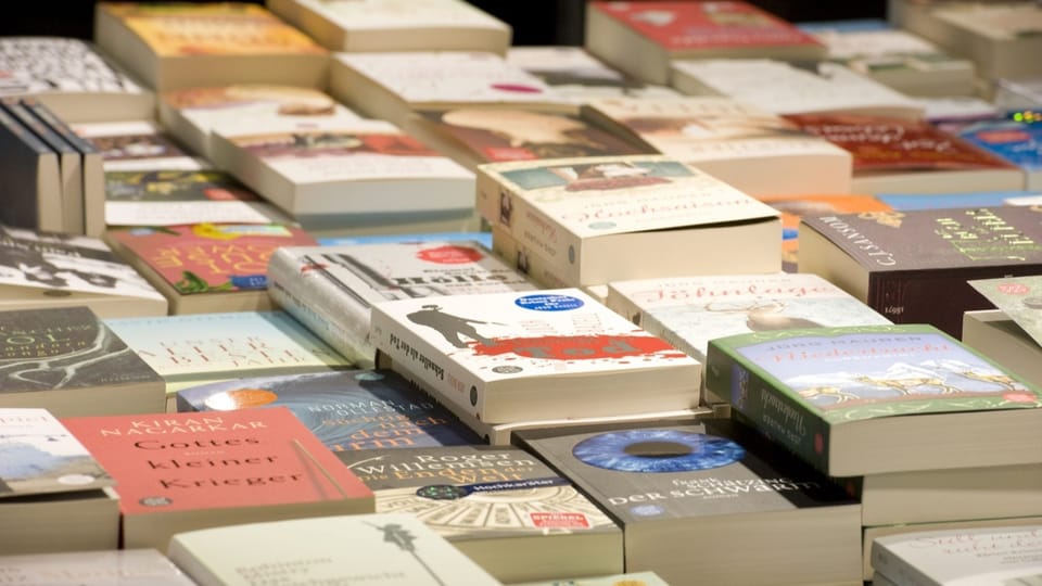 Der Basler Grosse Rat fördert Literatur-Projekte für Fremdsprachige