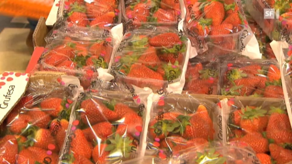 Billig-Erdbeeren auf Kosten der Umwelt