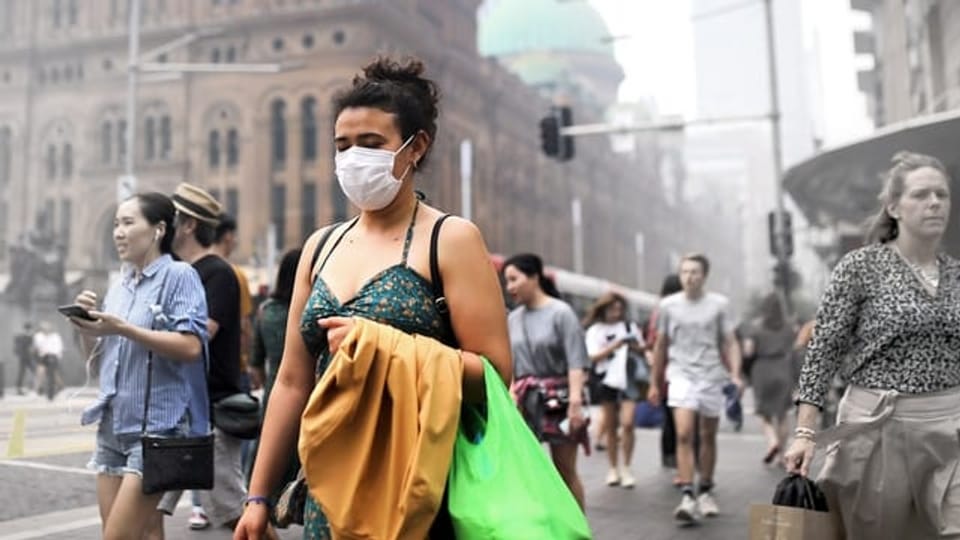 Dicke Luft – Wie Smog und Rauch die Lunge belasten