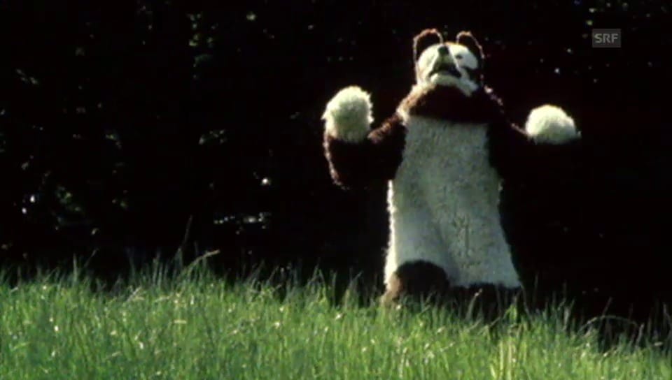 Rumpelstilz - «Teddybär» (1976)
