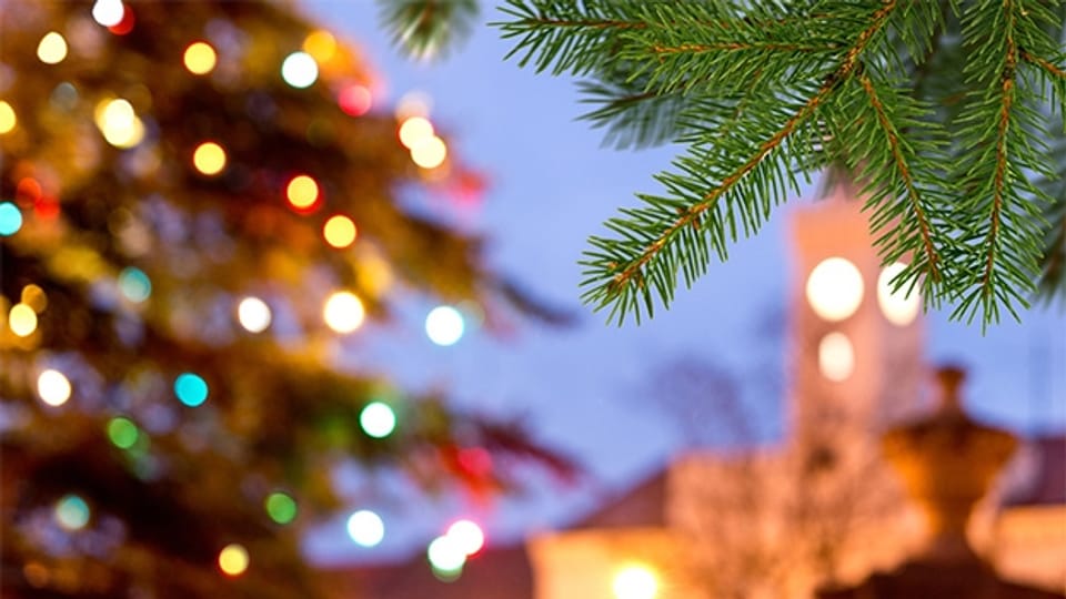 Die Geschichte zum Weihnachtslied «O Tannenbaum»
