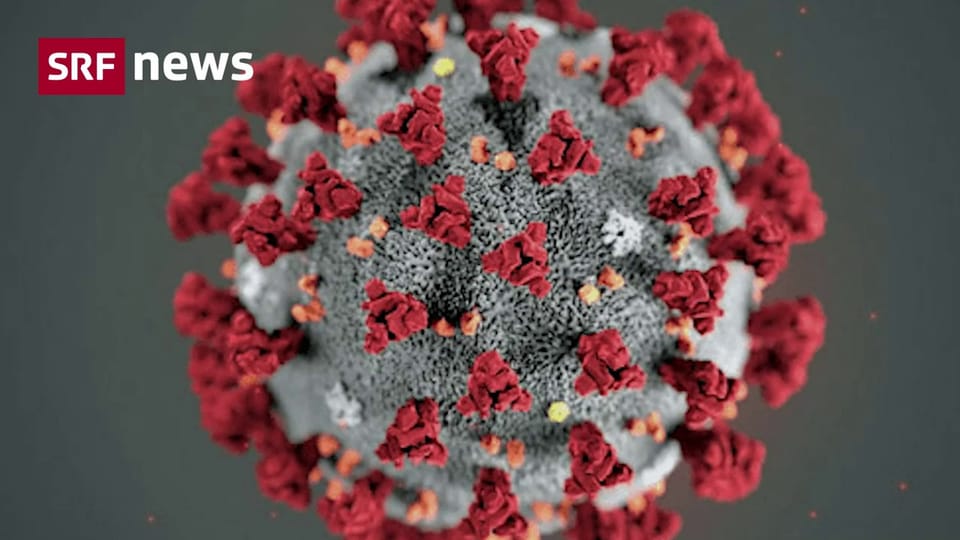 Was Sie über die Mutation des Coronavirus wissen müssen