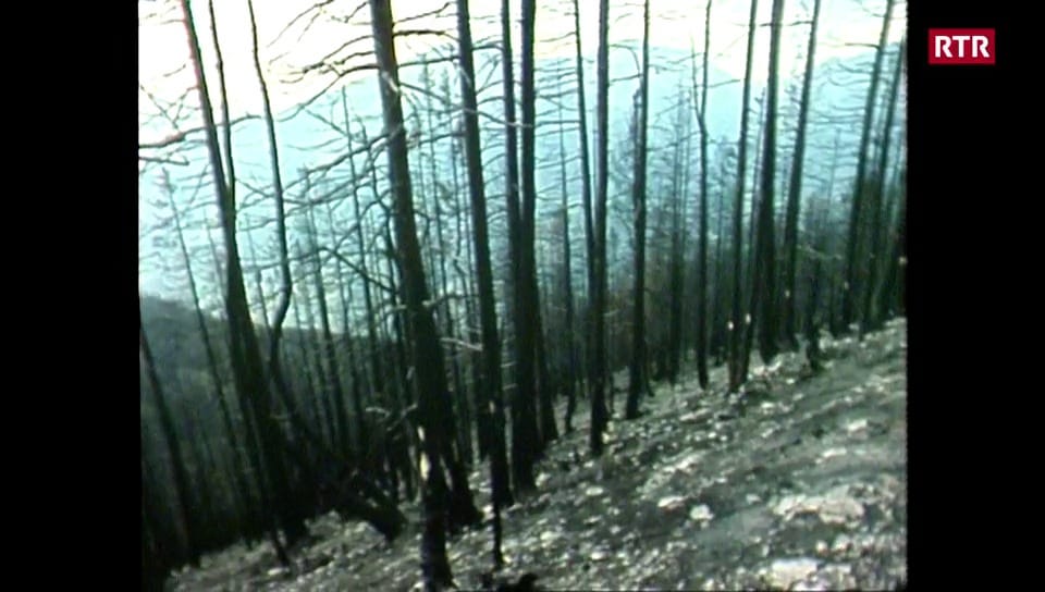 Incendi da guaud en la Val Müstair