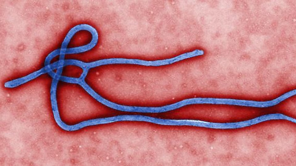 Ethiker: Menschen-Versuche im Fall Ebola zulässig