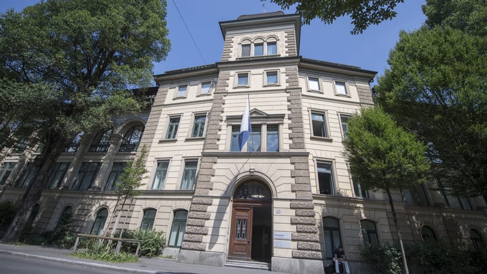 Das Luzerner Kantonsgericht will in die Gebäude des Natur- und Historischen Museums