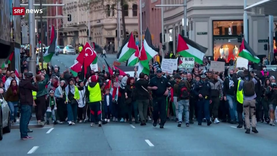 Pro-palästinensische Demos in verschiedenen Ländern