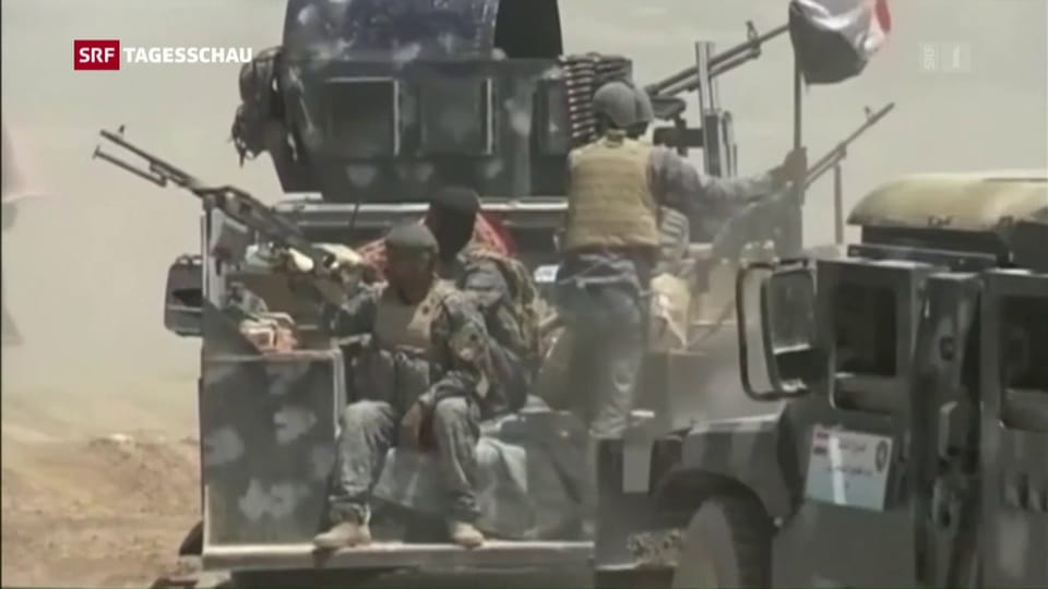 Irakische Armee startet Sturm auf Falludscha
