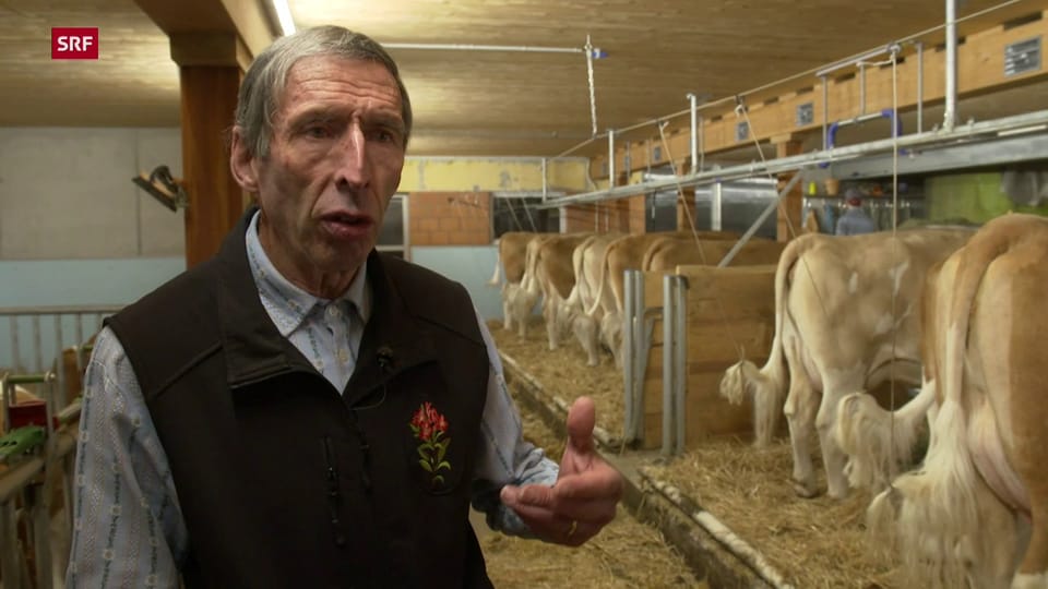 Konrad Klötzi, IG Anbindestall: «Kühe brauchen keinen Auslauf, man kann sie nicht mit Pferden vergleichen.»