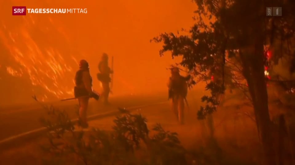 Tausende fliehen vor Waldbränden