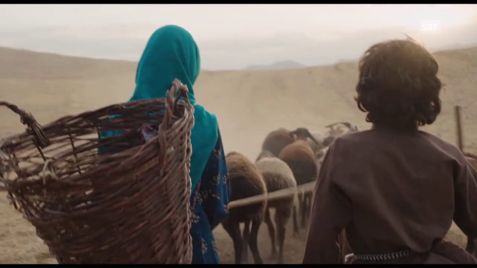 Trailer zu «Wolf and Sheep»
