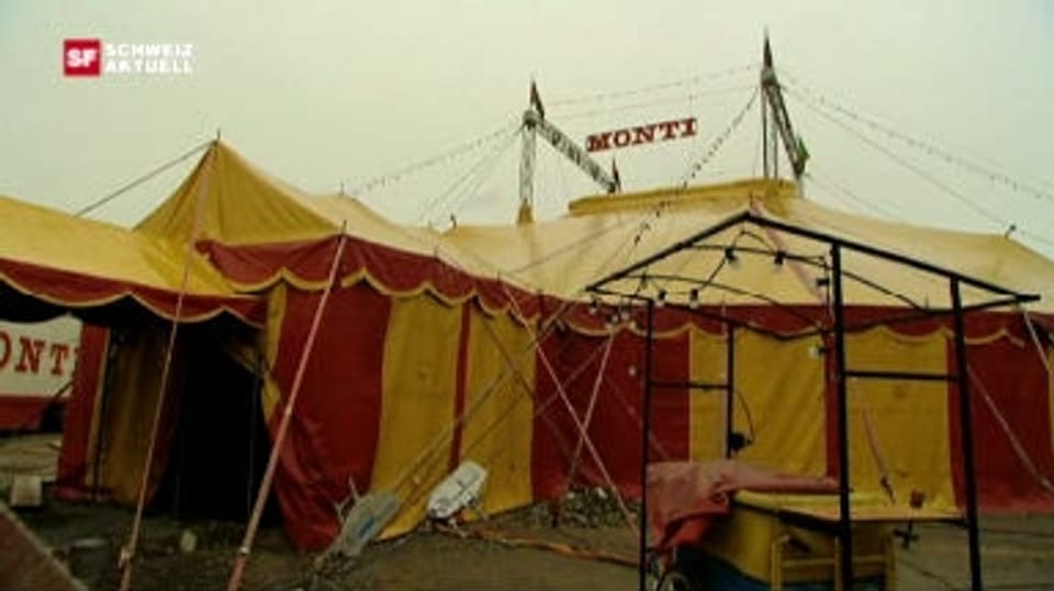 25 Jahre Zirkus Monti