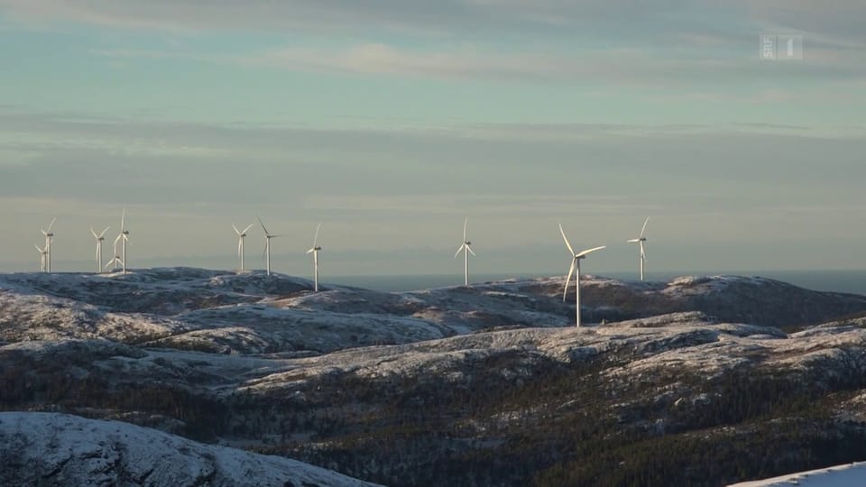Umstrittener Windpark: Schweizer Investition gefährdet Naturvolk