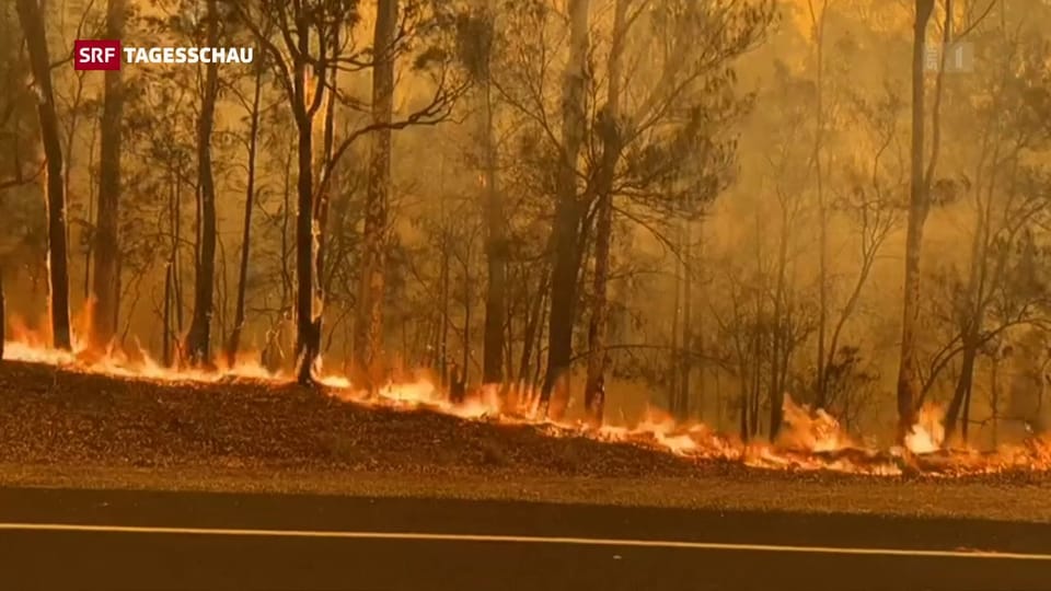 Aus dem Archiv: Buschbrände in Australien