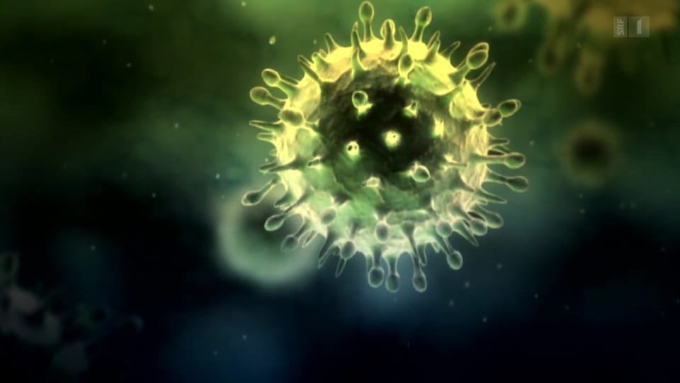 Grippeimpfung 2014 mit fraglichem Schutz