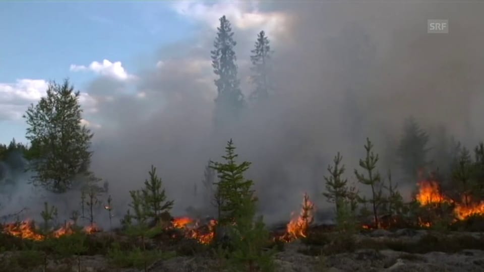 Noch immer wüten in Schweden rund 25 Feuer