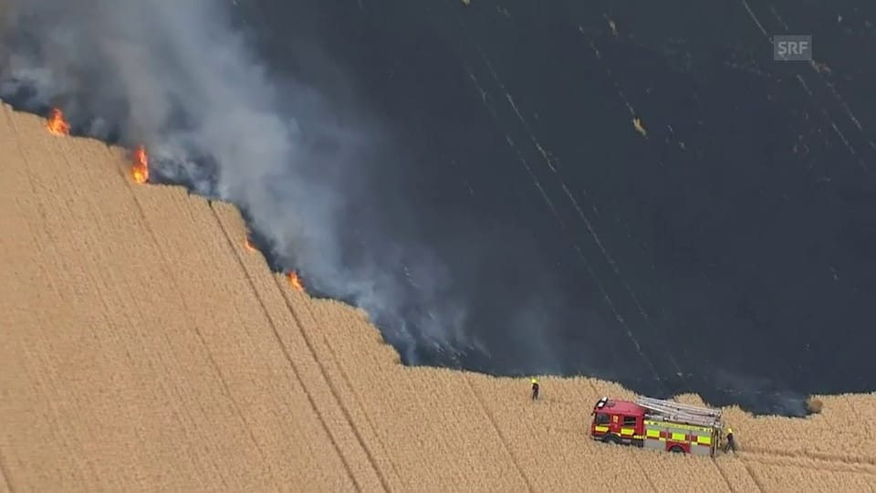 Am heissesten Tag des Jahres brennen in Grossbritannien Weizenfelder (unkomm.)