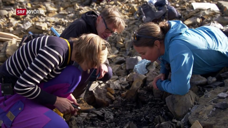 Berner Archäologen bergen über 6000 Jahre altes Korbgeflecht