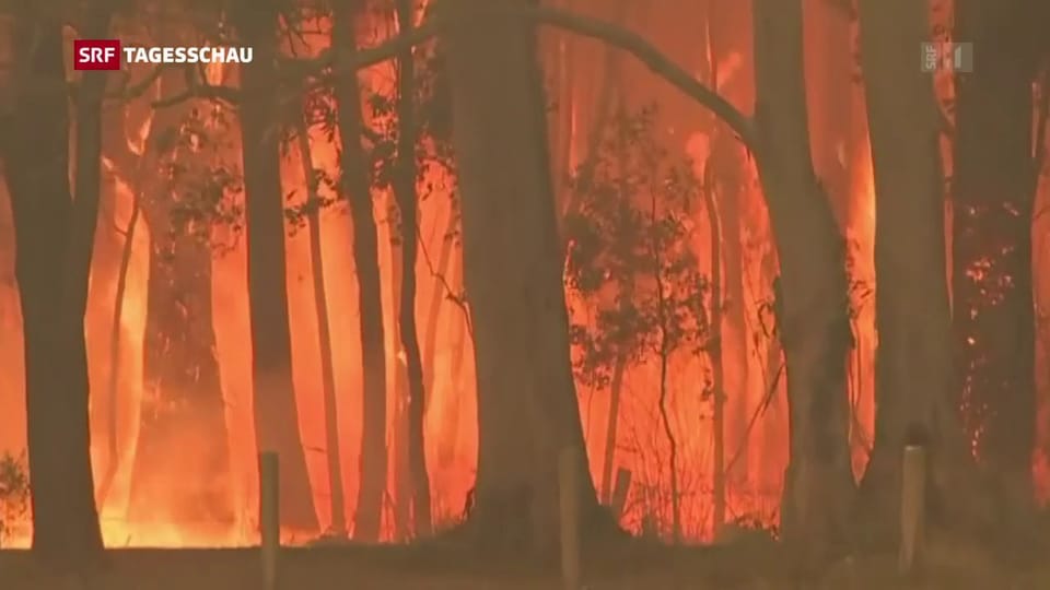 Verheerende Buschbrände in Australien