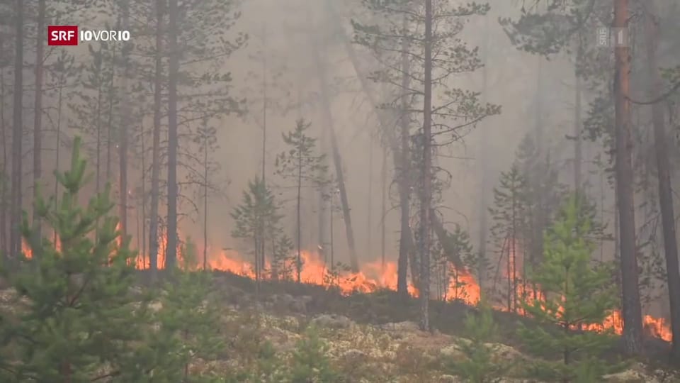 Flammeninferno in Schwedens Wäldern
