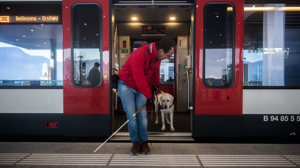 Neue Preispolitik für Hunde im ÖV: Erfolg für Swisspass, Ärger bei Hundebesitzerinnen und -besitzern