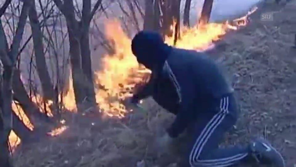 Verheerende Brände in Sibirien