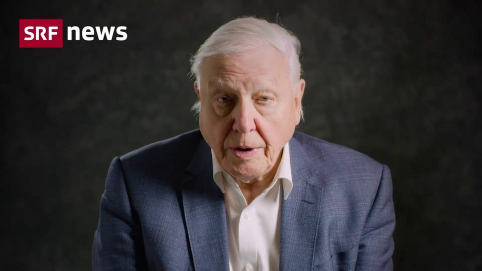 David Attenborough: «Wir stehen uns selbst im Weg.»