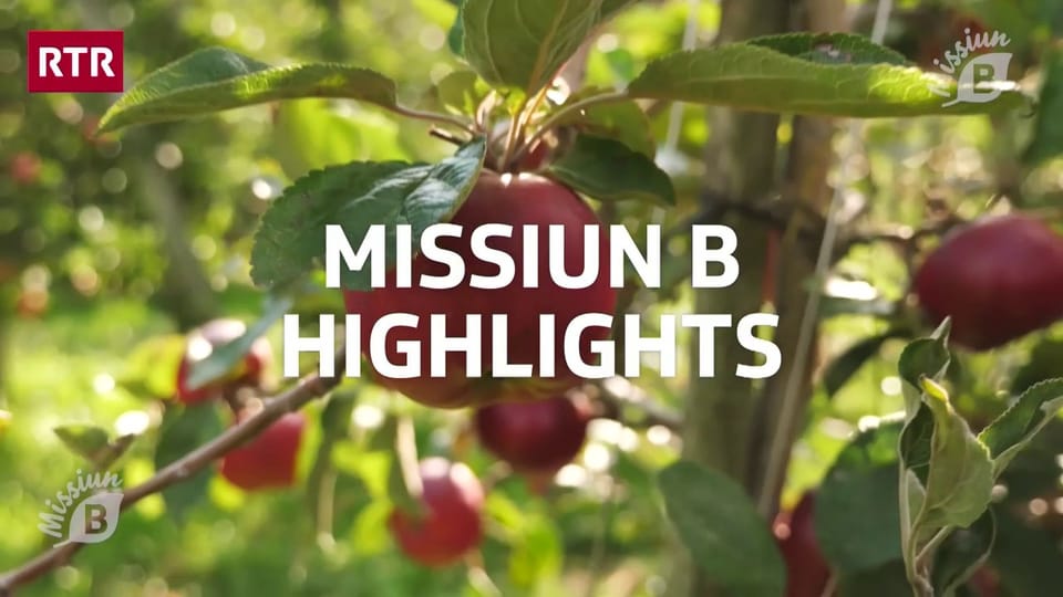 Missiun B - Ils highlights