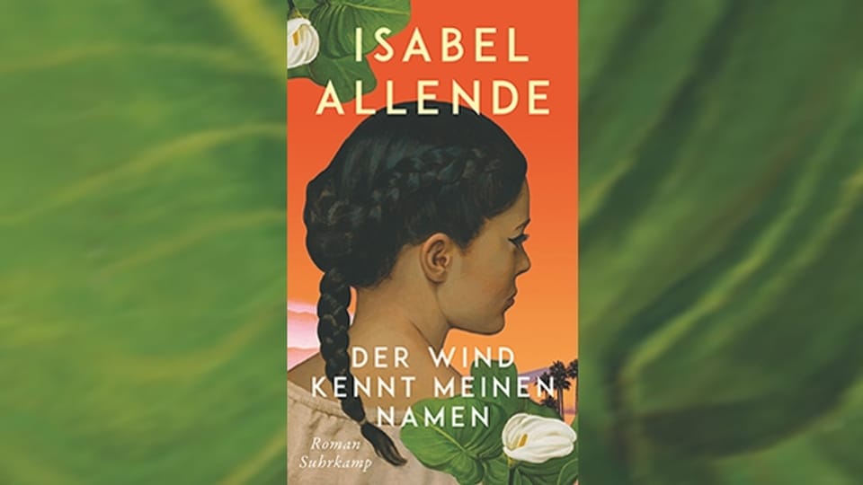 In ihrem neuen Roman «Der Wind kennt meinen Namen» erzählt Isabel Allende vom Schicksal von Kindern, die von ihren Müttern getrennt werden.