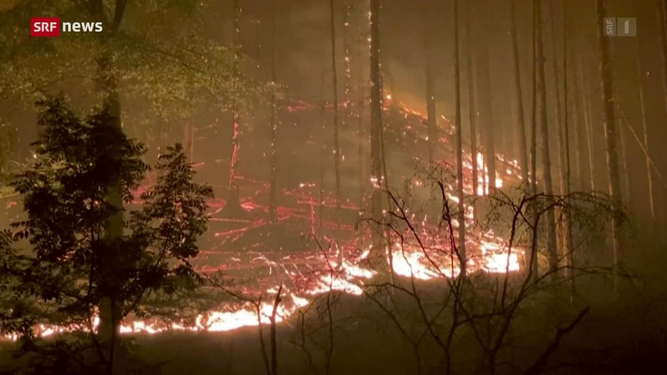Waldbrände in Tschechien und Deutschland