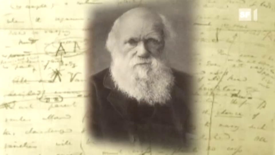 Aus dem Archiv: Darwin und die Evolutionstheorie