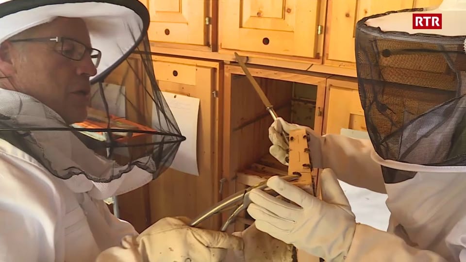 Uffants fan vendemia da mel – in curs d’apiculturs per scolars ha success