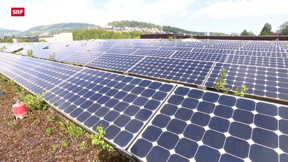Solarpannels vs. Grünflächen